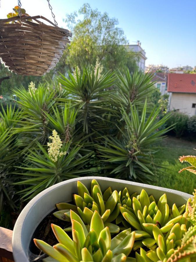 Location De Chambre Privee Dans Residence Securisee Privee,Parking Gratuit , 1 Minute Du Tramway, A 9 Minute Du Centre Ville, Accessible A Plusieurs Transports Nice Buitenkant foto